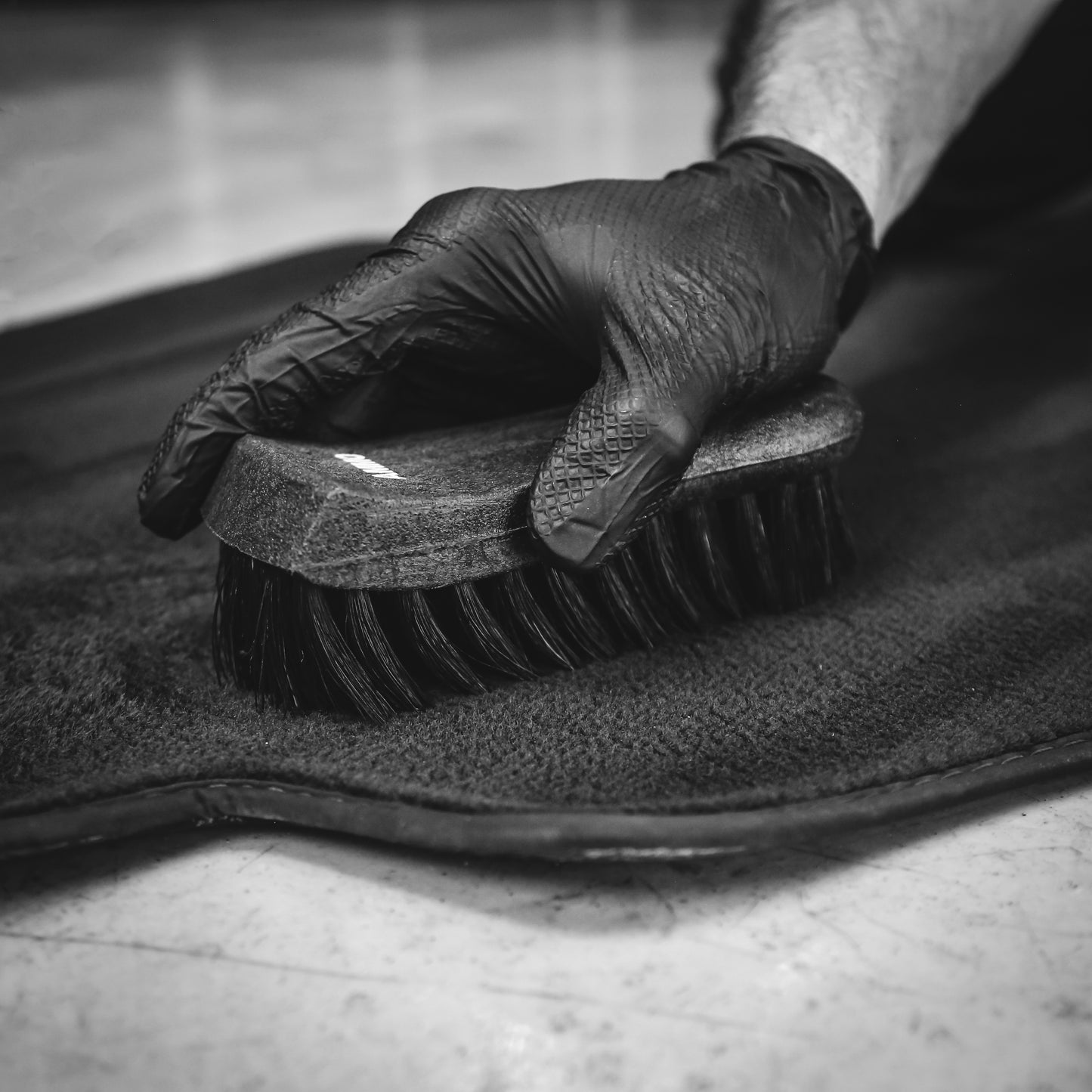 AMMO Dual Density Carpet Scrubber