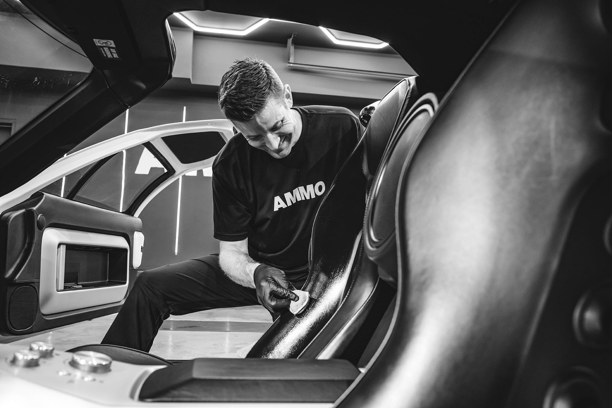 AMMO Plum Wheel Cleaner – AMMONYC